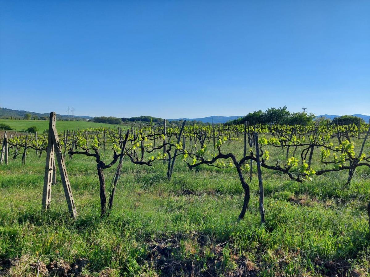 Tenuta I Lecci Terranuova Bracciolini Extérieur photo