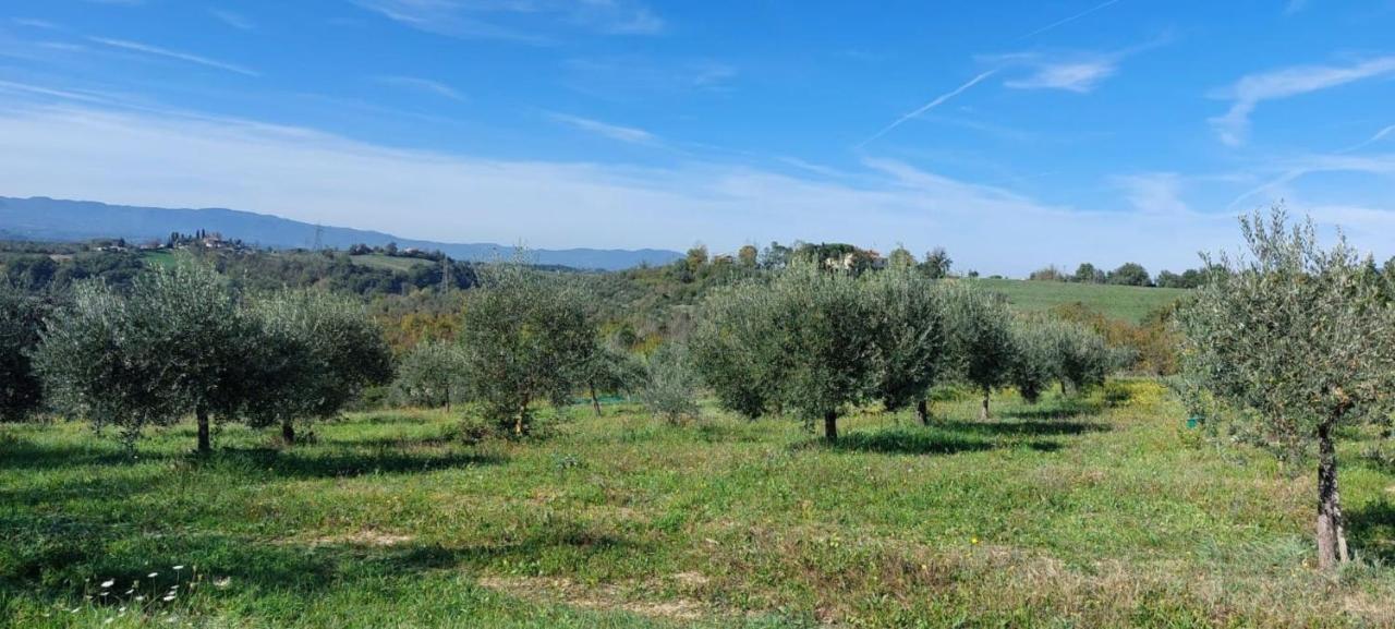 Tenuta I Lecci Terranuova Bracciolini Extérieur photo
