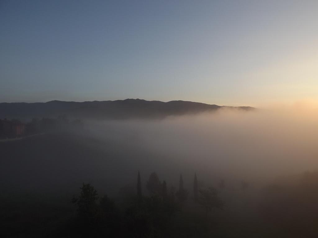 Tenuta I Lecci Terranuova Bracciolini Extérieur photo